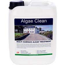 K Rend Algae Clean 5L - Rowebb