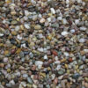 Brown Pea